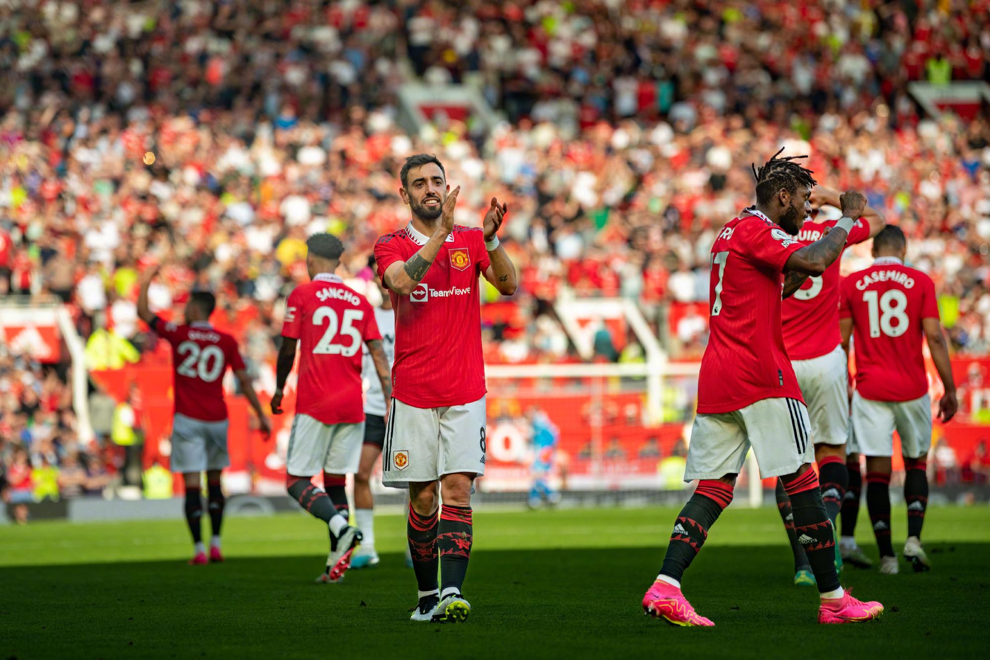 也增强了哥 也增强了哥